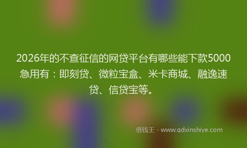 2026年的不查征信的网贷平台有哪些能下款5000急用有：即刻贷、微粒宝盒、米卡商城、融逸速贷、信贷宝等。