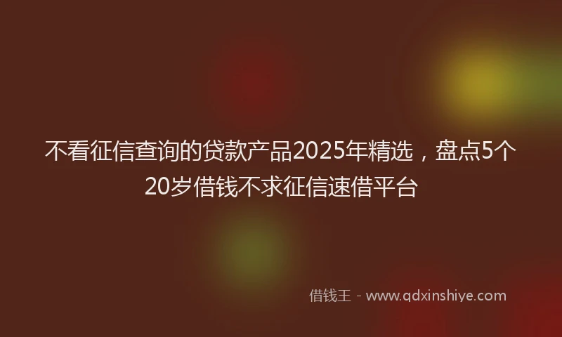 不看征信查询的贷款产品2025年精选,盘点5个20岁借钱不求征信速借平台
