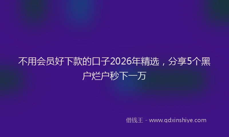 不用会员好下款的口子2026年精选，分享5个黑户烂户秒下一万