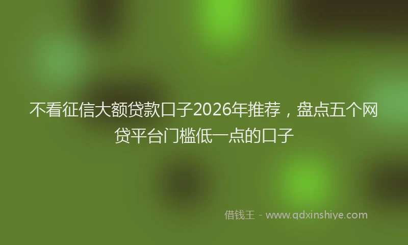 不看征信大额贷款口子2026年推荐，盘点五个网贷平台门槛低一点的口子