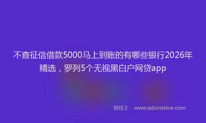 不查征信借款5000马上到账的有哪些银行2026年精选，罗列5个无视黑白户网贷app