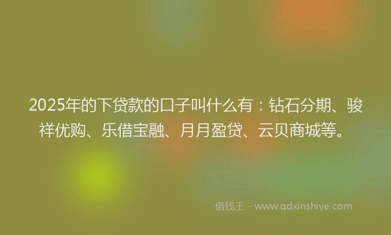 2025年的下贷款的口子叫什么有：钻石分期、骏祥优购、乐借宝融、月月盈贷、云贝商城等。