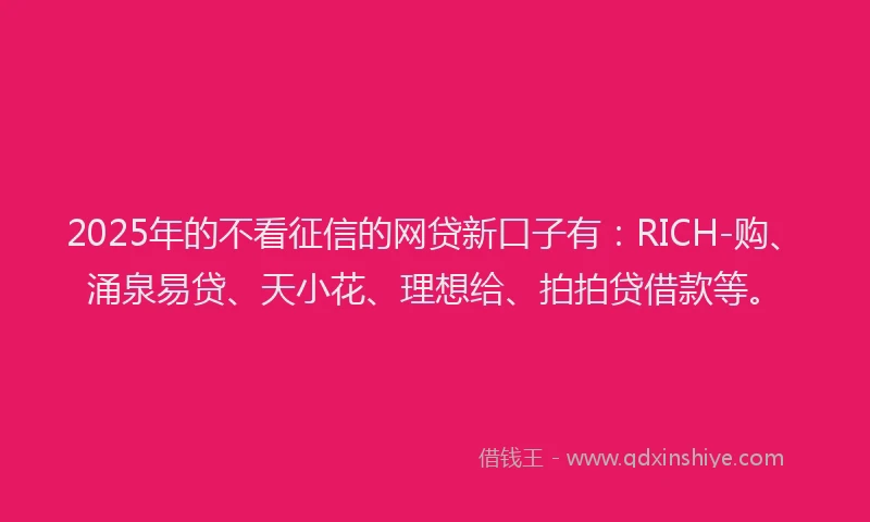 2025年的不看征信的网贷新口子有：RICH-购、涌泉易贷、天小花、理想给、拍拍贷借款等。