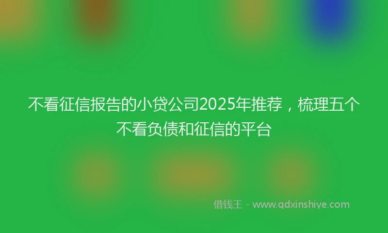 不看征信报告的小贷公司2025年推荐，梳理五个不看负债和征信的平台