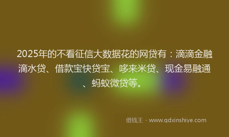 2025年的不看征信大数据花的网贷有：滴滴金融滴水贷、借款宝快贷宝、哆来米贷、现金易融通、蚂蚁微贷等。