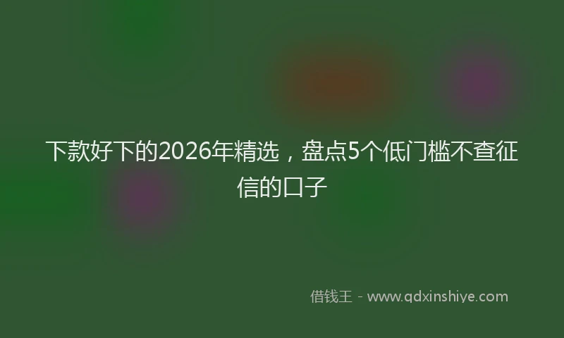 下款好下的2026年精选，盘点5个低门槛不查征信的口子