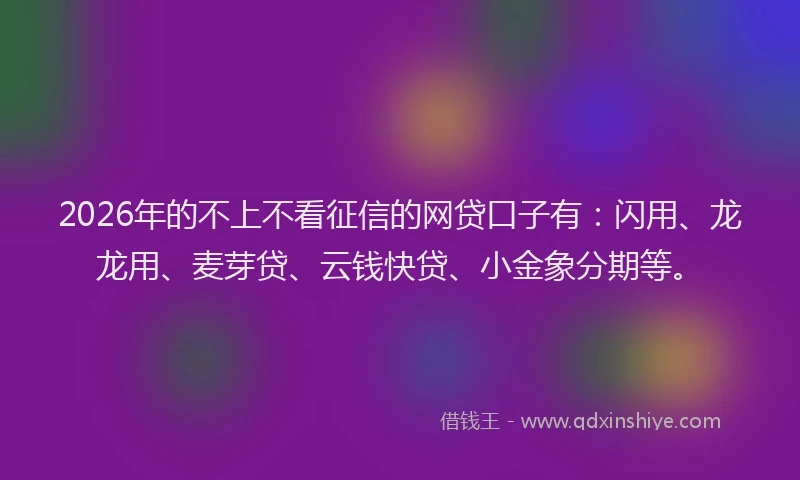 2026年的不上不看征信的网贷口子有：闪用、龙龙用、麦芽贷、云钱快贷、小金象分期等。