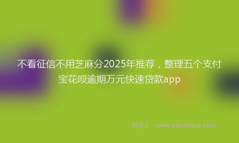 不看征信不用芝麻分2025年推荐,整理五个支付宝花呗逾期万元快速贷款app