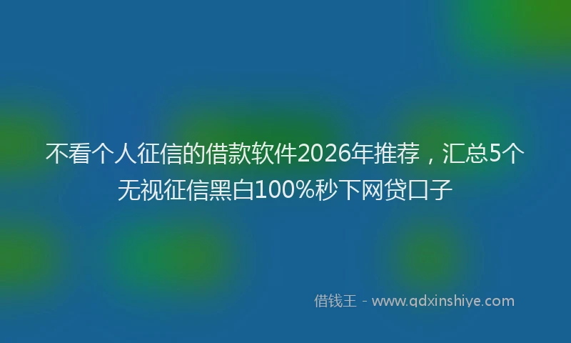 不看个人征信的借款软件2026年推荐，汇总5个无视征信黑白100%秒下网贷口子