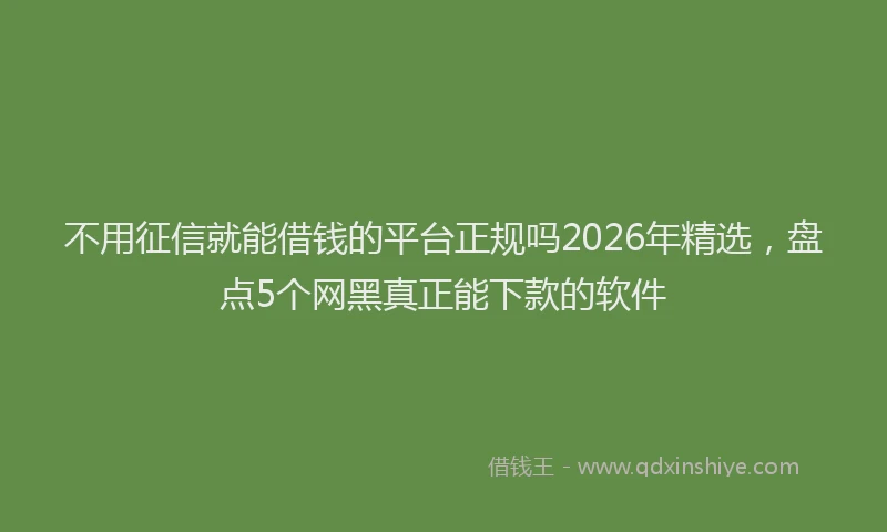 不用征信就能借钱的平台正规吗2026年精选，盘点5个网黑真正能下款的软件