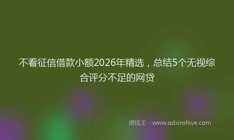 不看征信借款小额2026年精选，总结5个无视综合评分不足的网贷