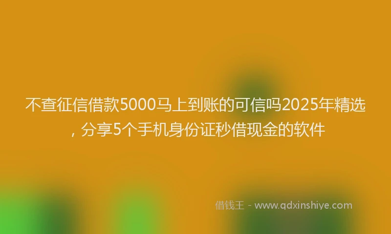 不查征信借款5000马上到账的可信吗2025年精选,分享5个手机身份证秒借现金的软件