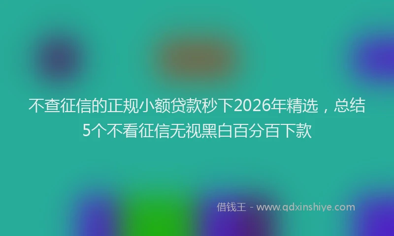不查征信的正规小额贷款秒下2026年精选，总结5个不看征信无视黑白百分百下款