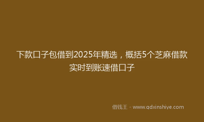 下款口子包借到2025年精选，概括5个芝麻借款实时到账速借口子