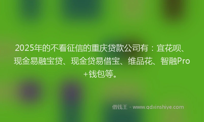 2025年的不看征信的重庆贷款公司有:宜花呗、现金易融宝贷、现金贷易借宝、维品花、智融Pro+钱包等。