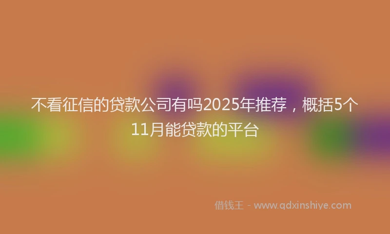 不看征信的贷款公司有吗2025年推荐，概括5个11月能贷款的平台