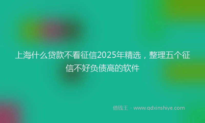 上海什么贷款不看征信2025年精选，整理五个征信不好负债高的软件