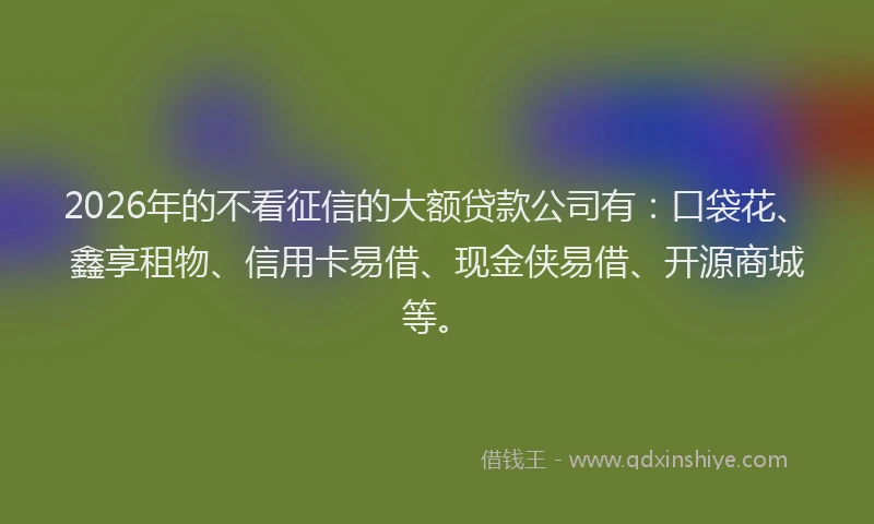 2026年的不看征信的大额贷款公司有：口袋花、鑫享租物、信用卡易借、现金侠易借、开源商城等。