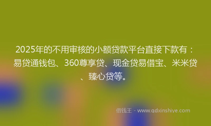 2025年的不用审核的小额贷款平台直接下款有:易贷通钱包、360尊享贷、现金贷易借宝、米米贷、臻心贷等。