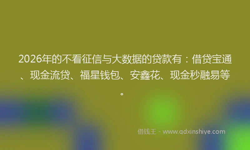 2026年的不看征信与大数据的贷款有：借贷宝通、现金流贷、福星钱包、安鑫花、现金秒融易等。