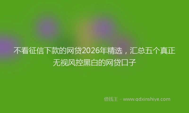 不看征信下款的网贷2026年精选，汇总五个真正无视风控黑白的网贷口子