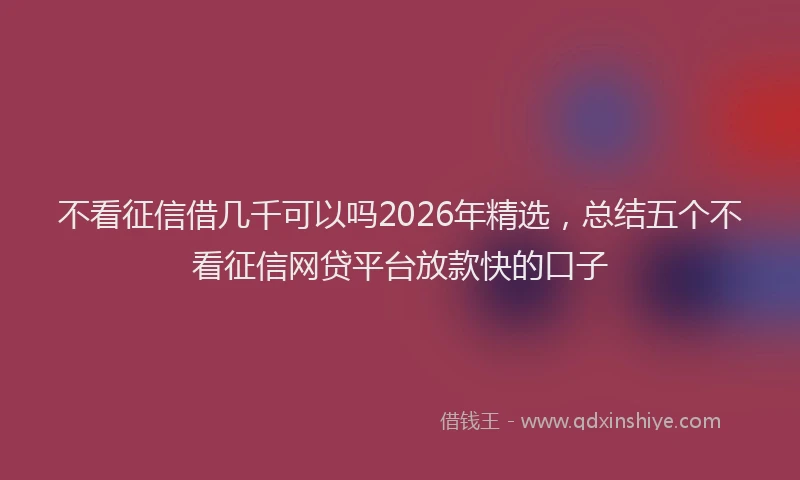 不看征信借几千可以吗2026年精选，总结五个不看征信网贷平台放款快的口子