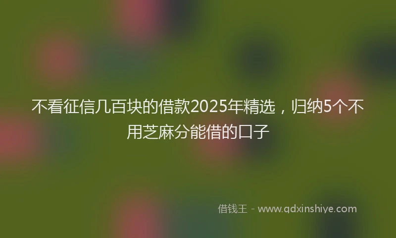 不看征信几百块的借款2025年精选，归纳5个不用芝麻分能借的口子