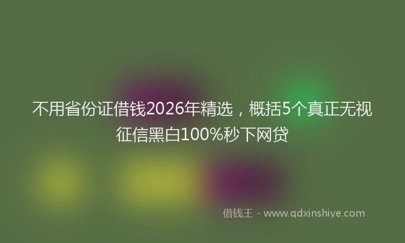 不用省份证借钱2026年精选，概括5个真正无视征信黑白100%秒下网贷