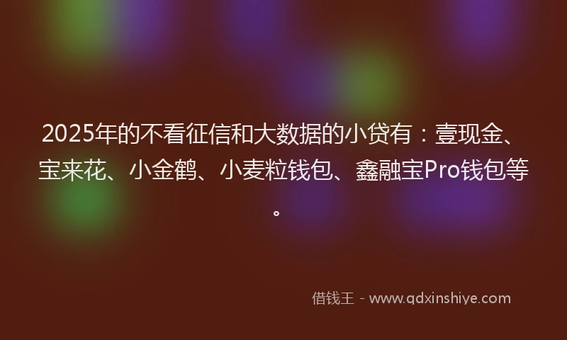 2025年的不看征信和大数据的小贷有:壹现金、宝来花、小金鹤、小麦粒钱包、鑫融宝Pro钱包等。