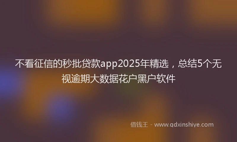 不看征信的秒批贷款app2025年精选，总结5个无视逾期大数据花户黑户软件