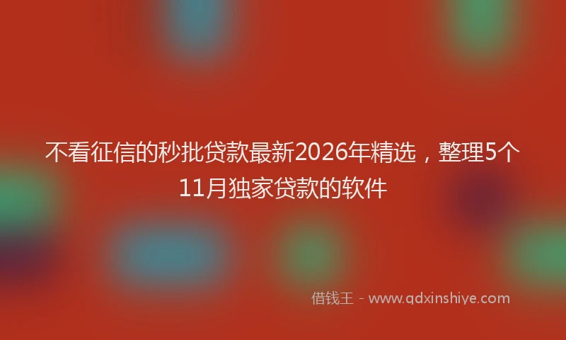 不看征信的秒批贷款最新2026年精选，整理5个11月独家贷款的软件