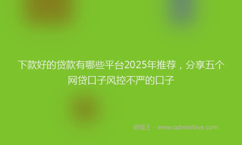 下款好的贷款有哪些平台2025年推荐，分享五个网贷口子风控不严的口子