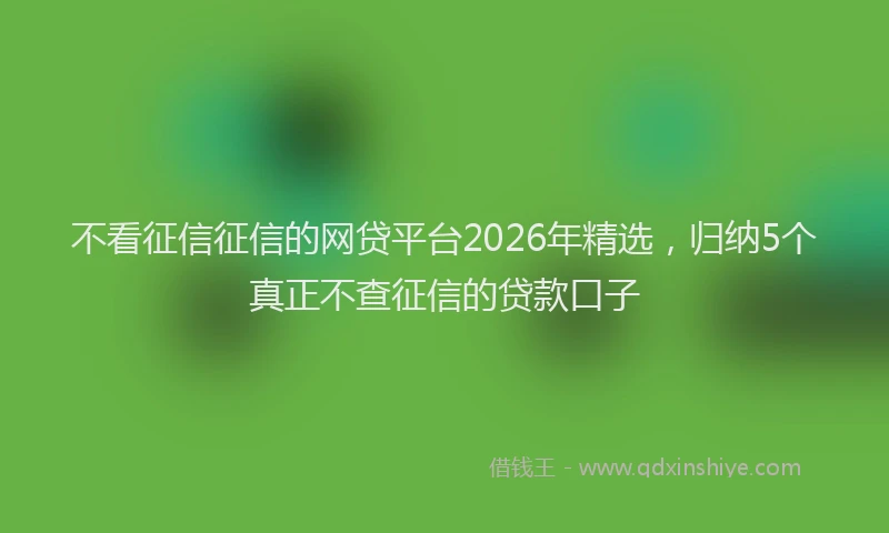 不看征信征信的网贷平台2026年精选，归纳5个真正不查征信的贷款口子