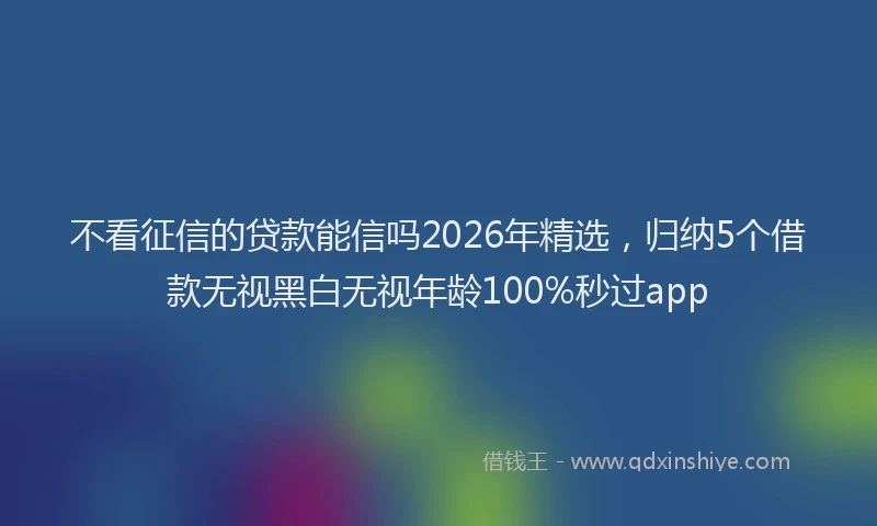 不看征信的贷款能信吗2026年精选，归纳5个借款无视黑白无视年龄100%秒过app