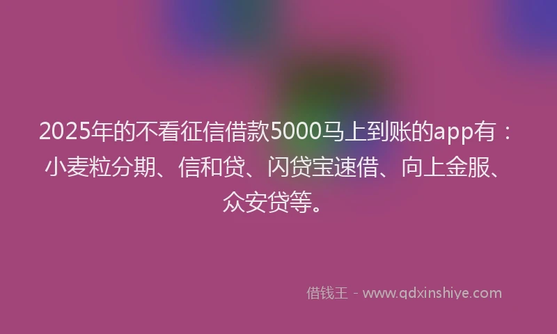 2025年的不看征信借款5000马上到账的app有：小麦粒分期、信和贷、闪贷宝速借、向上金服、众安贷等。