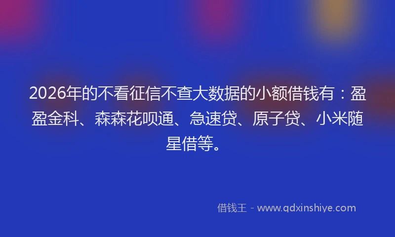 2026年的不看征信不查大数据的小额借钱有：盈盈金科、森森花呗通、急速贷、原子贷、小米随星借等。