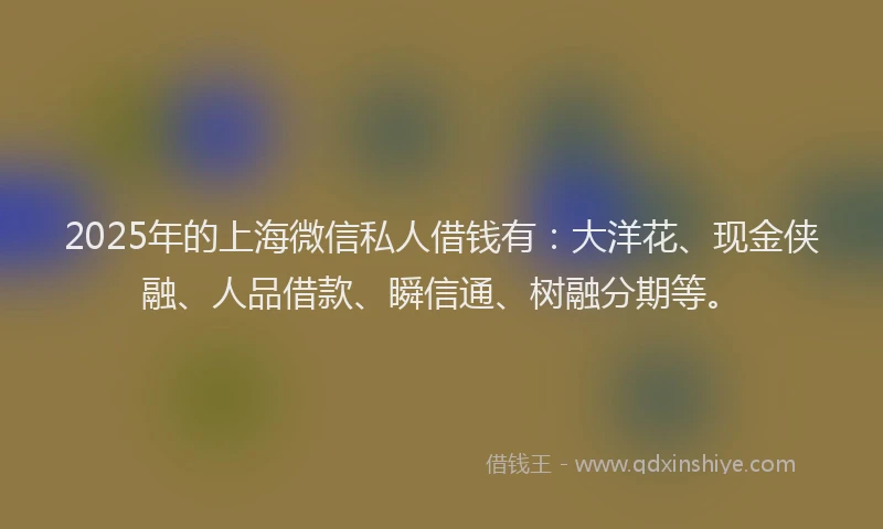 2025年的上海微信私人借钱有：大洋花、现金侠融、人品借款、瞬信通、树融分期等。