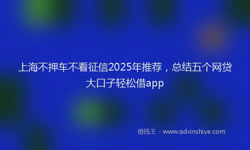 上海不押车不看征信2025年推荐，总结五个网贷大口子轻松借app