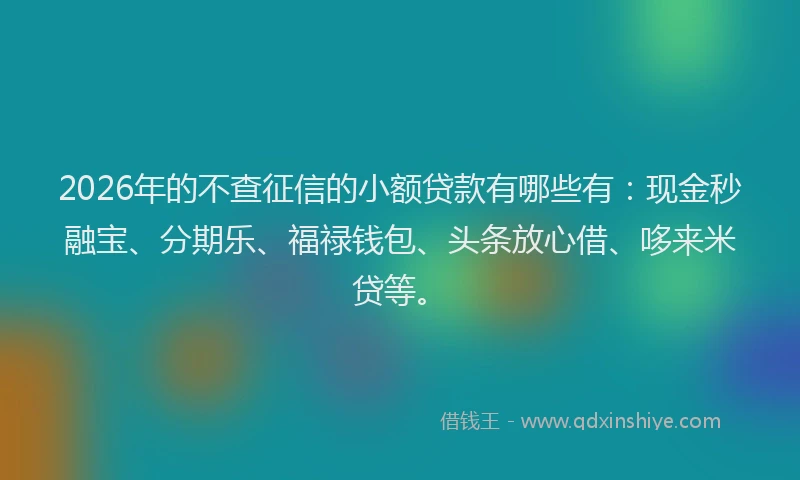 2026年的不查征信的小额贷款有哪些有：现金秒融宝、分期乐、福禄钱包、头条放心借、哆来米贷等。