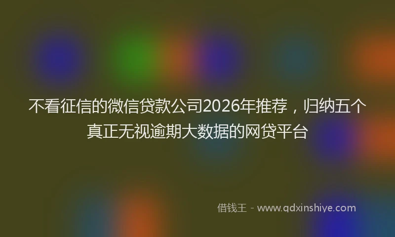 不看征信的微信贷款公司2026年推荐，归纳五个真正无视逾期大数据的网贷平台