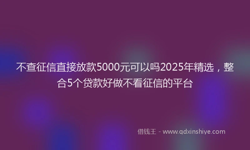 不查征信直接放款5000元可以吗2025年精选，整合5个贷款好做不看征信的平台