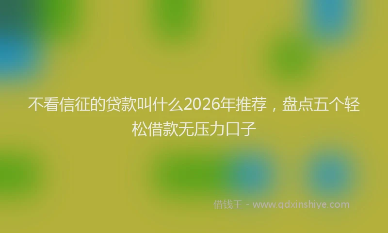 不看信征的贷款叫什么2026年推荐，盘点五个轻松借款无压力口子