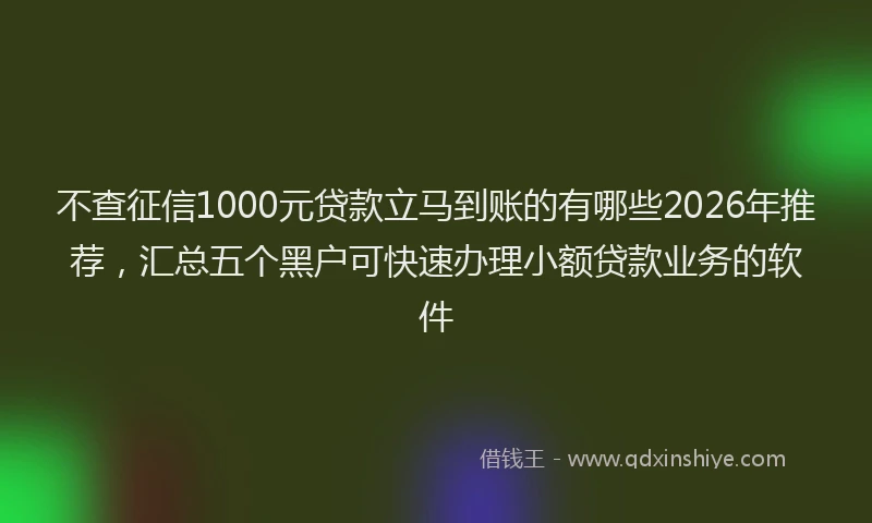 不查征信1000元贷款立马到账的有哪些2026年推荐，汇总五个黑户可快速办理小额贷款业务的软件