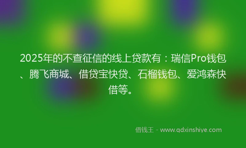 2025年的不查征信的线上贷款有：瑞信Pro钱包、腾飞商城、借贷宝快贷、石榴钱包、爱鸿森快借等。