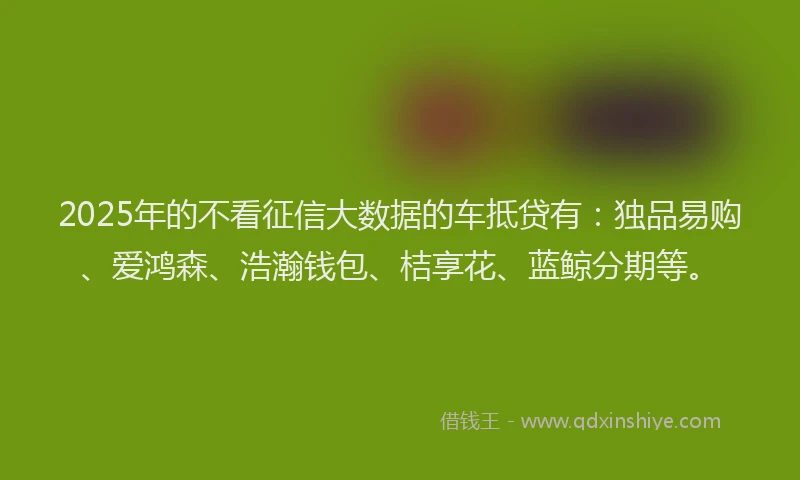 2025年的不看征信大数据的车抵贷有：独品易购、爱鸿森、浩瀚钱包、桔享花、蓝鲸分期等。