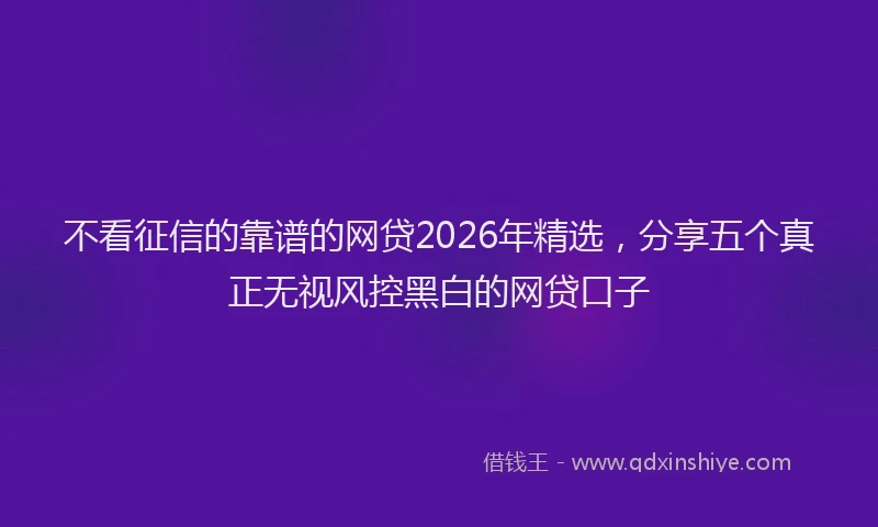 不看征信的靠谱的网贷2026年精选，分享五个真正无视风控黑白的网贷口子