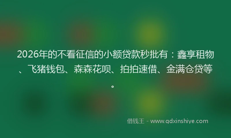 2026年的不看征信的小额贷款秒批有：鑫享租物、飞猪钱包、森森花呗、拍拍速借、金满仓贷等。