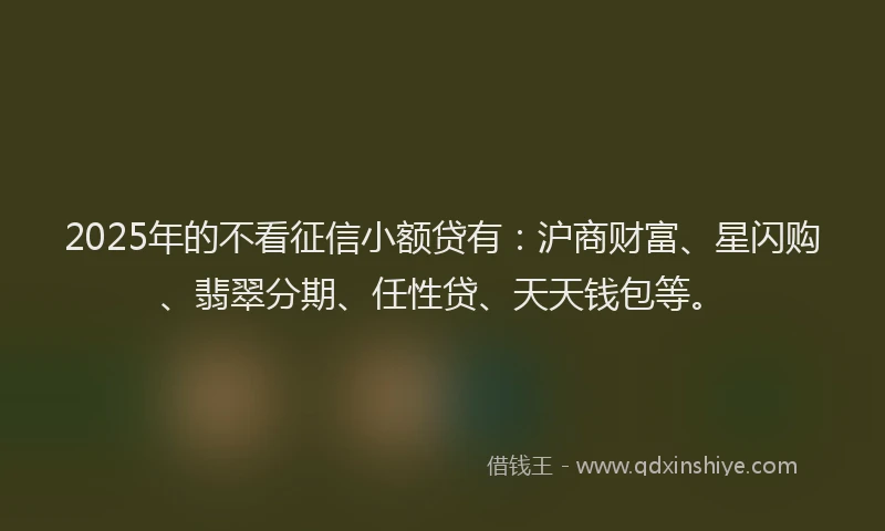 2025年的不看征信小额贷有：沪商财富、星闪购、翡翠分期、任性贷、天天钱包等。