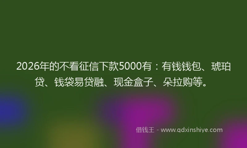 2026年的不看征信下款5000有:有钱钱包、琥珀贷、钱袋易贷融、现金盒子、朵拉购等。