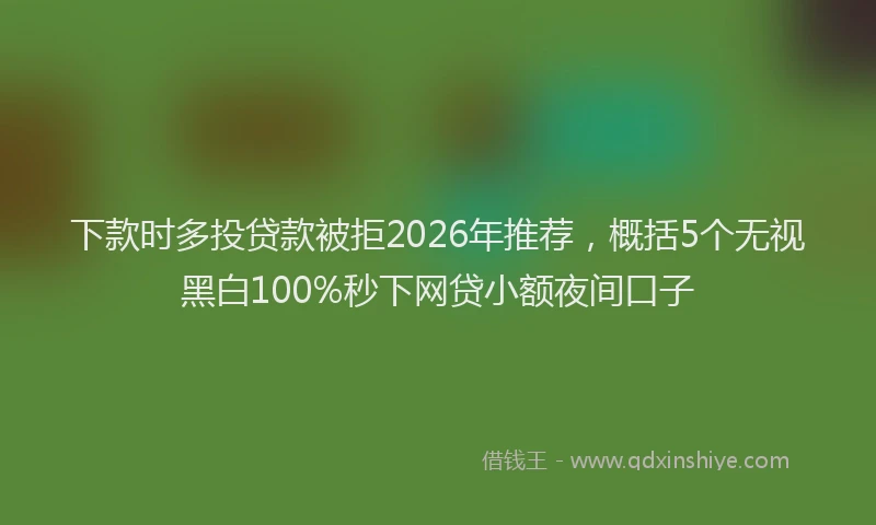 下款时多投贷款被拒2026年推荐，概括5个无视黑白100%秒下网贷小额夜间口子